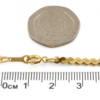 9ct gold 12.8g 21 inch Chain